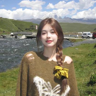 《进藏》